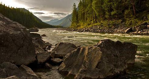 State Management in React: Redux vs Context API